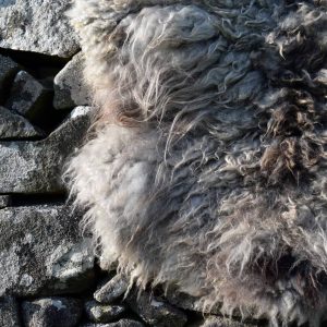 felted icelandic fleece