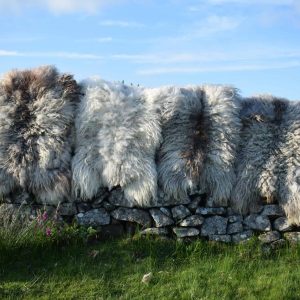 wild felted wool rugs