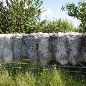 vegetarian sheepskin rugs