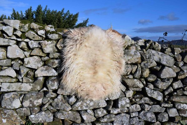 icelandic felted fleece