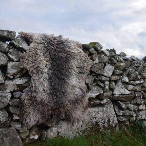 large gotland felted fleece