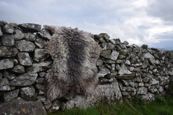 large gotland felted fleece