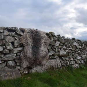 large gotland felted fleece