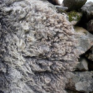 grey gotland felted sheepskin