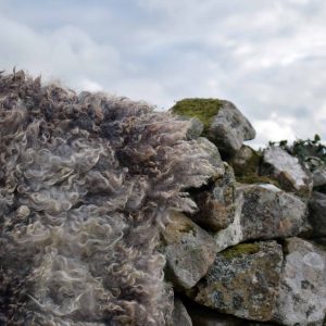 grey gotland felted sheepskin