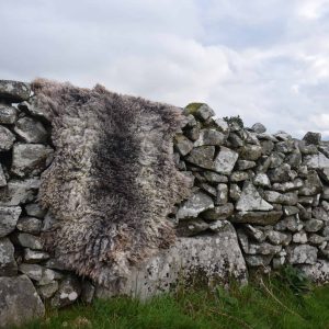 large gotland felted fleece