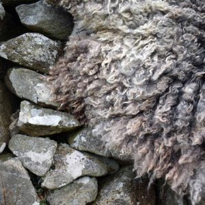 curly grey felted fleece