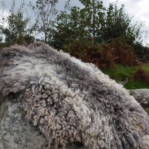 grey gotland felted sheepskin