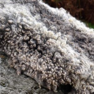 large gotland felted fleece