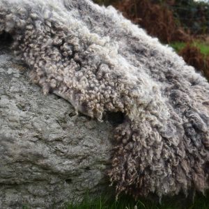 curly grey felted fleece