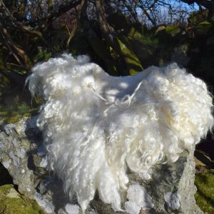 beautiful felted wool collar