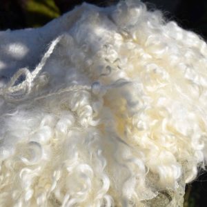 cream felted wool collar