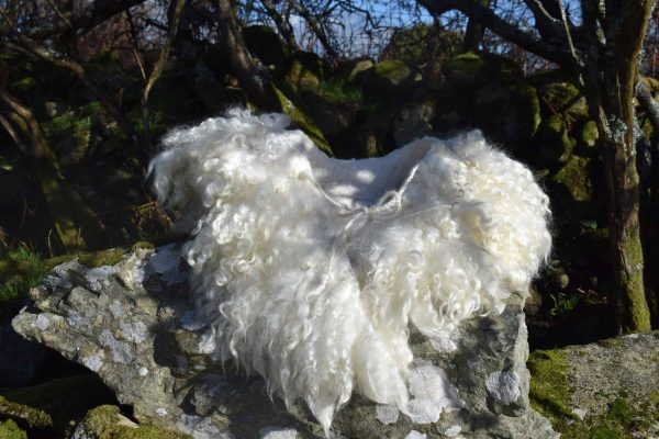 beautiful felted wool collar