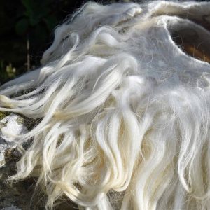 viking wool collar