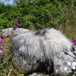 icelandic felted sheepskin