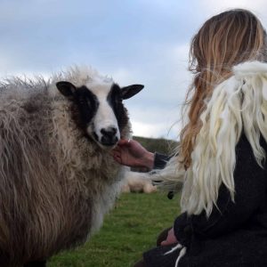 wild wool collar