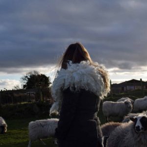 patchwork sheep wool crafts