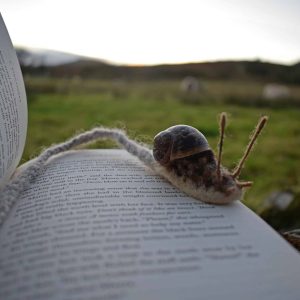 unique snail gifts bookmark