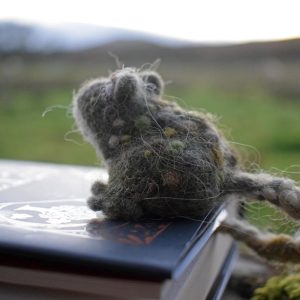 toad bookmark