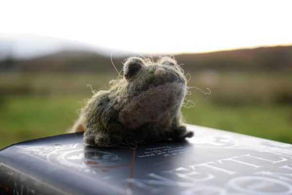 needle felt toad bookmark