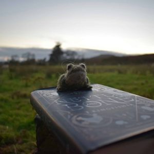 needle felt toad bookmark