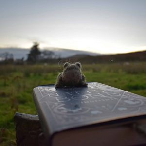 needle felt wool toad