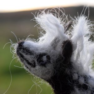 skeleton unicorn needle felt