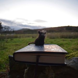 witchy black cat bookmark