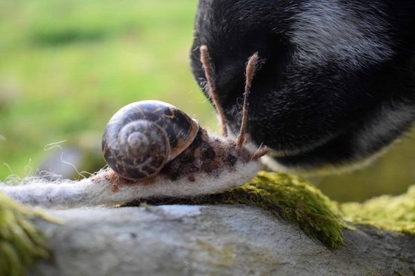 needle felted snail bookmark