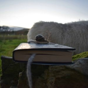 needle felted snail bookmark