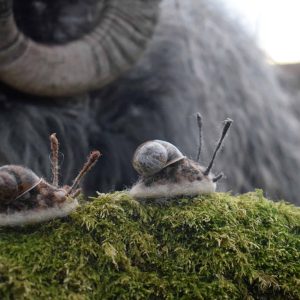 needle felted snail