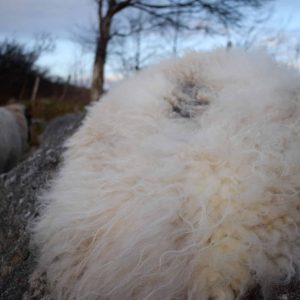 felted sheepskin