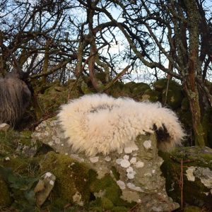 natural wool seat pad