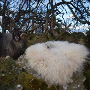 natural wool seat pad