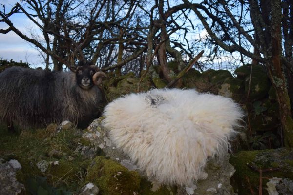 natural wool seat pad