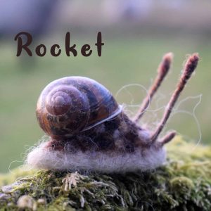 handmade needle felt snail