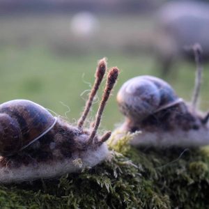 handmade needle felt snail