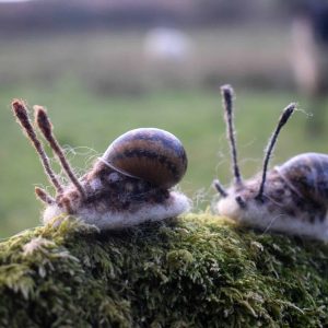 handmade needle felt snail