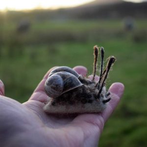 needle felted wool snail